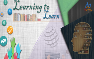 Learning to Learn Lesson